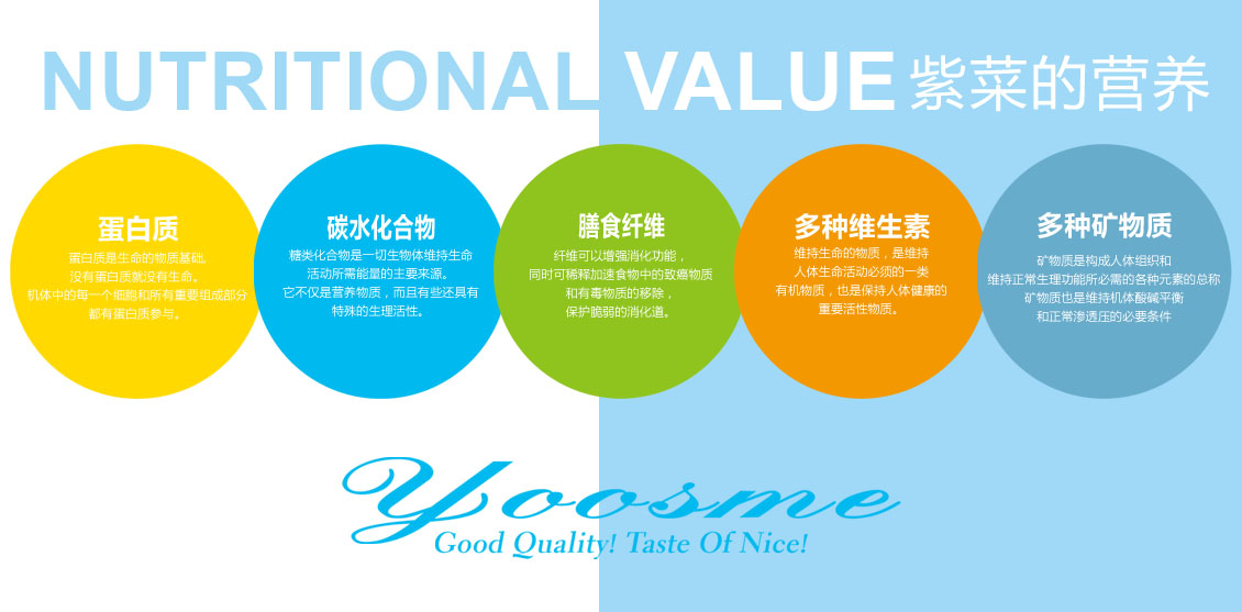 1565246522726978.jpg JJ.jpg